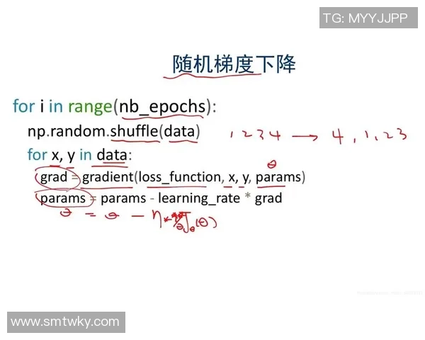 深圳篮球队运营分析:成功经验与面临挑战的深度探讨